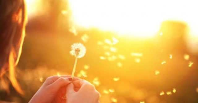 Biết đâu cuộc sống mà bạn đang chán ghét lại là cuộc đời mà người khác hằng mơ